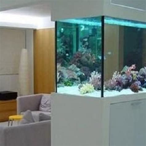 辦公室 2015 魚缸可以放房間嗎